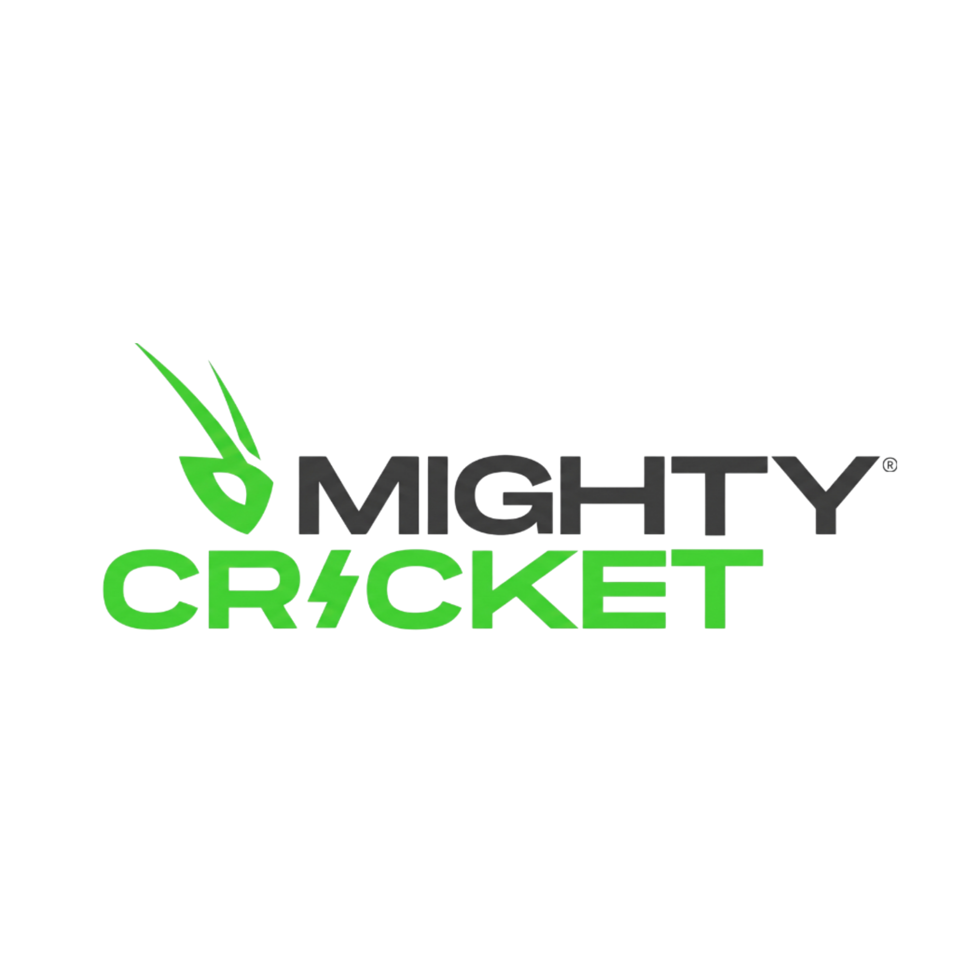 Mighty Cricket
